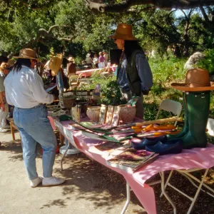 Wildflower Festival 1996