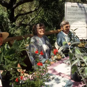 Wildflower Festival 1996