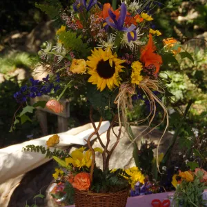 Wildflower Festival 1996
