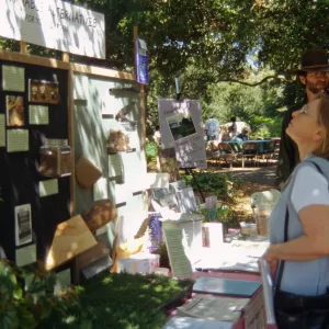 Wildflower Festival 1996