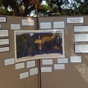 Wildflower Festival 1996, Biodiversity bulletin board