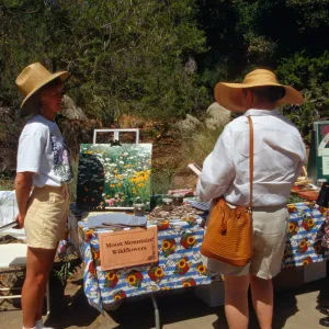 Wildflower Festival 1996