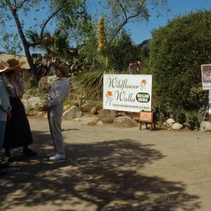 Wildflower Festival 1996