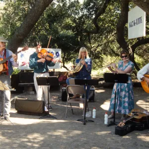 Wildflower Festival 1996