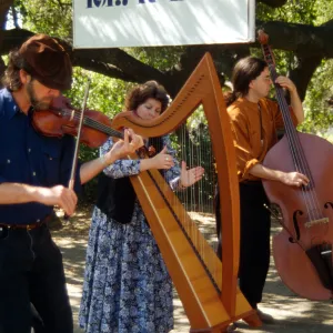 Wildflower Festival 1996