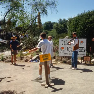 Wildflower Festival 1996