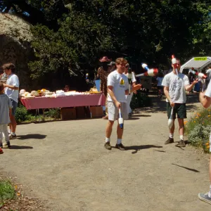 Wildflower Festival 1996