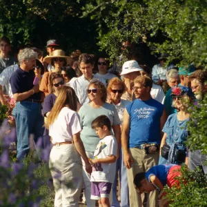 Wildflower Festival 1996