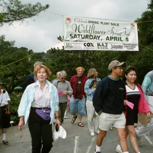 Wildflower Festival 1997