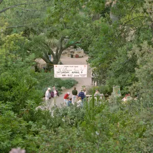 Wildflower Festival 1997