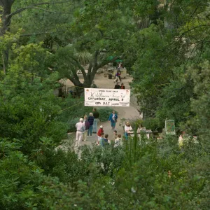 Wildflower Festival 1997
