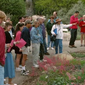 Wildflower Festival 1997
