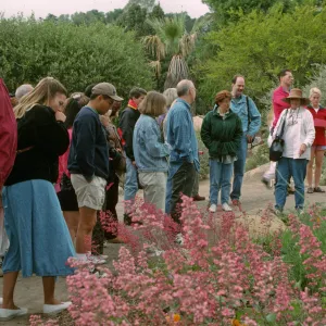 Wildflower Festival 1997