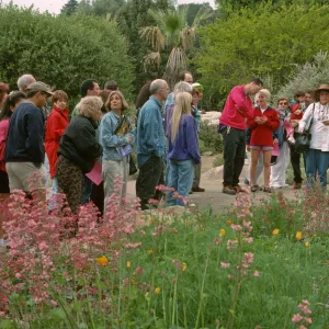 Wildflower Festival 1997