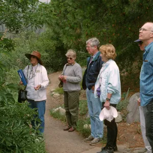 Wildflower Festival 1997