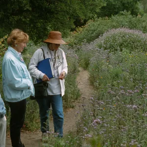 Wildflower Festival 1997