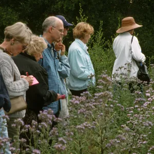 Wildflower Festival 1997