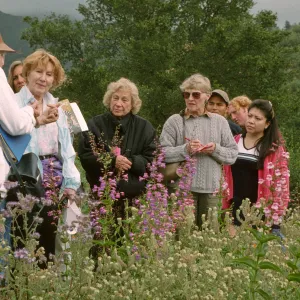 Wildflower Festival 1997