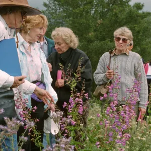Wildflower Festival 1997