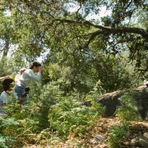 Wildflower Festival 1997