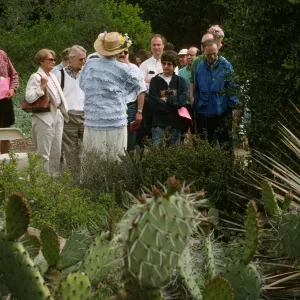 Wildflower Festival 1997