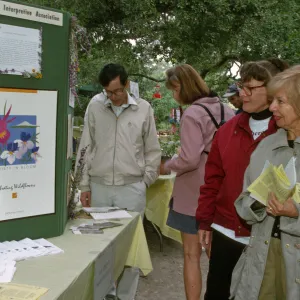 Wildflower Festival 1997