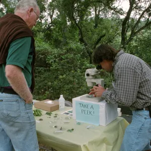 Wildflower Festival 1997