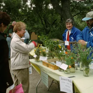 Wildflower Festival 1997