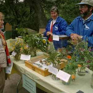 Wildflower Festival 1997