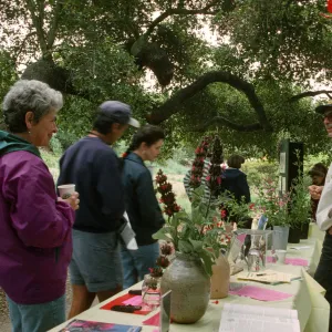Wildflower Festival 1997