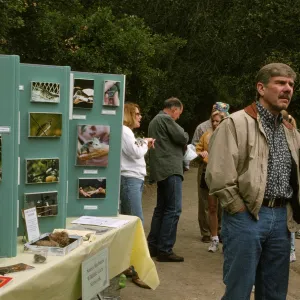 Wildflower Festival 1997