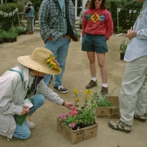 Wildflower Festival 1997
