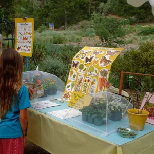 Wildflower Festival 1997