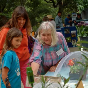 Wildflower Festival 1997