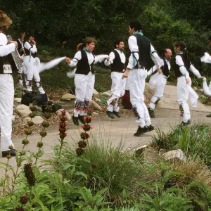 Wildflower Festival 1997