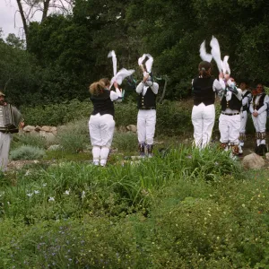 Wildflower Festival 1997
