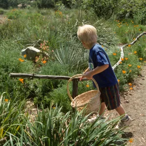 Wildflower Festival 1997