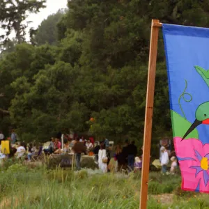 Wildflower Festival 1997