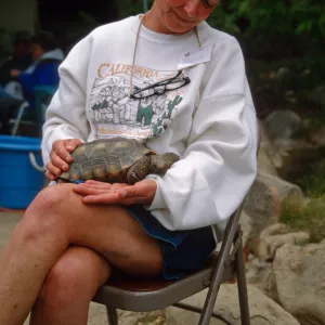 Wildflower Festival 1997
