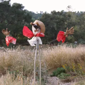 Scarecrow Contest 1997