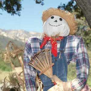 Scarecrow Contest 1997