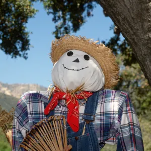 Scarecrow Contest 1997. Crafts day