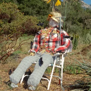 Scarecrow Contest 1998