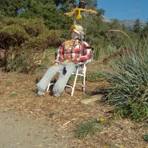 Scarecrow Contest 1998