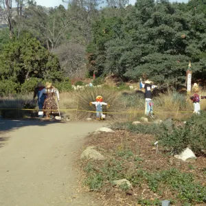 Scarecrow Contest 1998