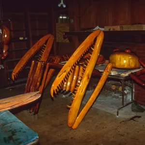 Big Bugs