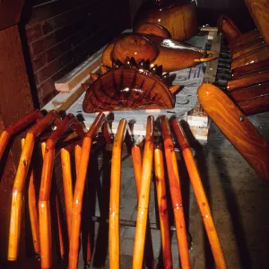Big Bugs