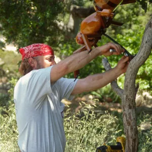 Big Bugs, Honey Bee setup