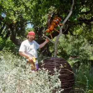Big Bugs, Honey Bee setup