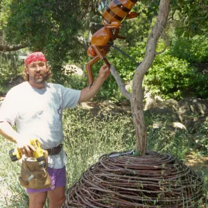 Big Bugs, Honey Bee setup